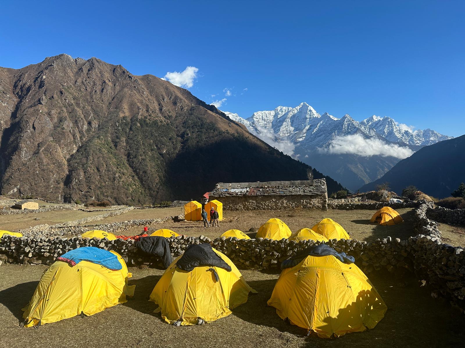 Wild Yak Expeditions