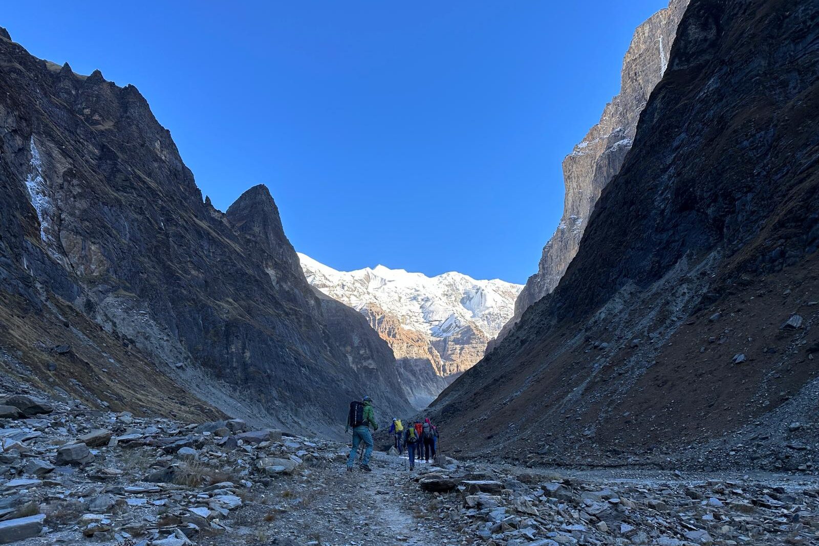Wild Yak Expeditions