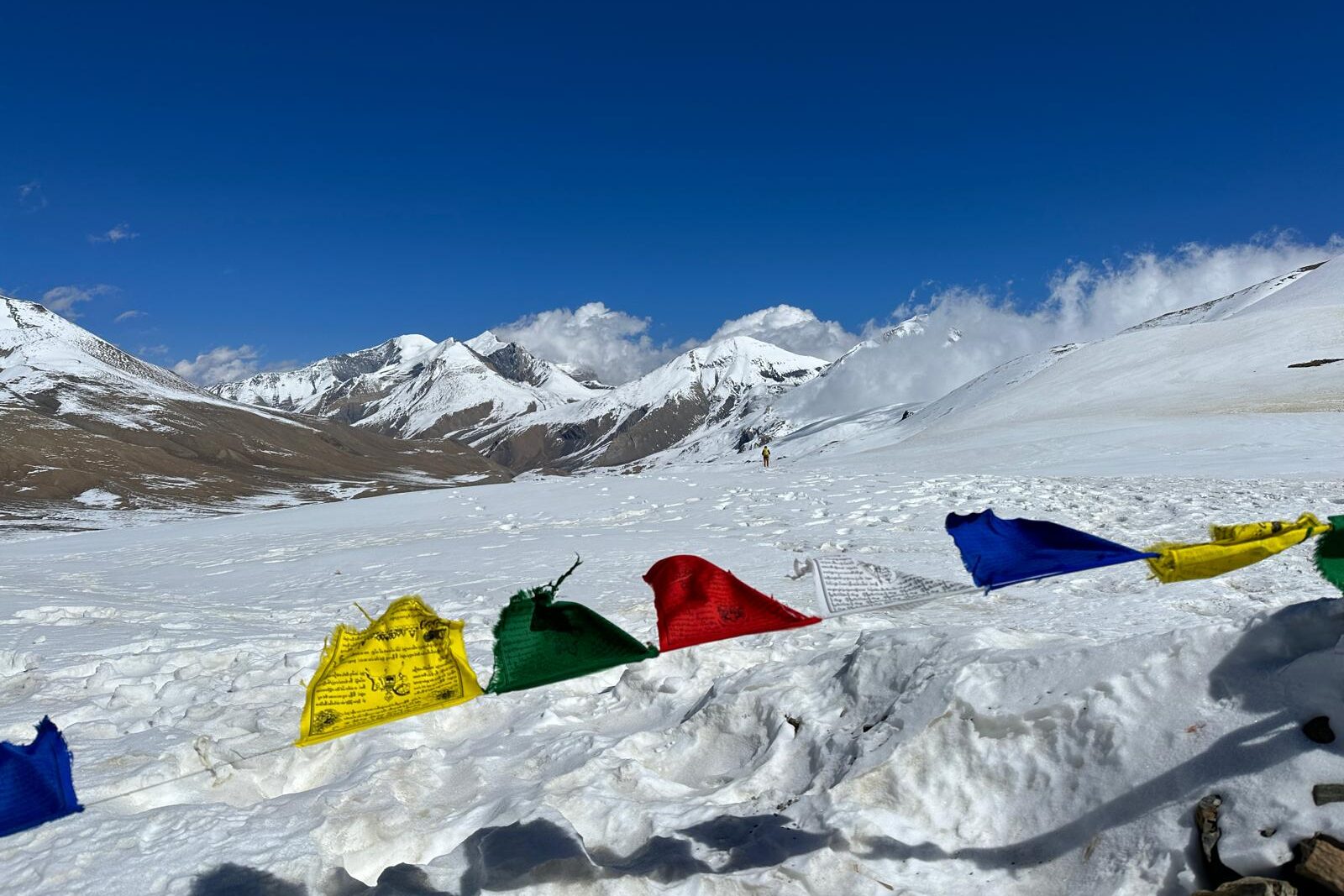 Wild Yak Expeditions